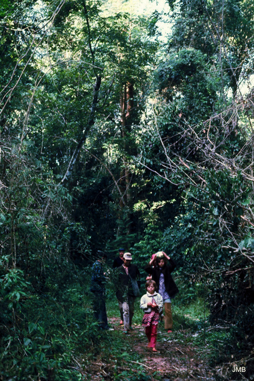 AÑO 1975 - COLOR - VIDA CAMPESINA EN PARAGUAY (JOSÉ MARÍA BLANCH)